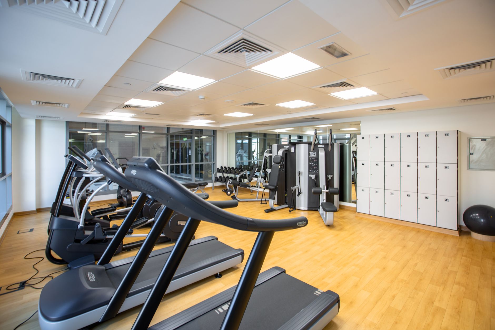 black and gray exercise equipment
